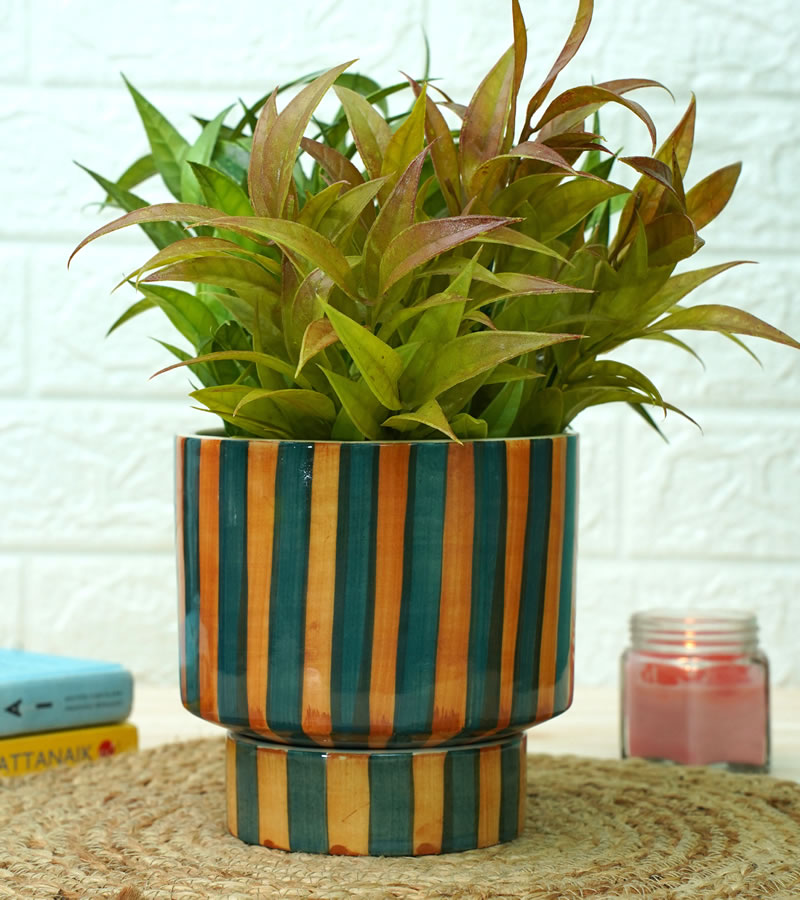 Ceramic Pot - Stripe Green and Yellow 14 x 14 cm