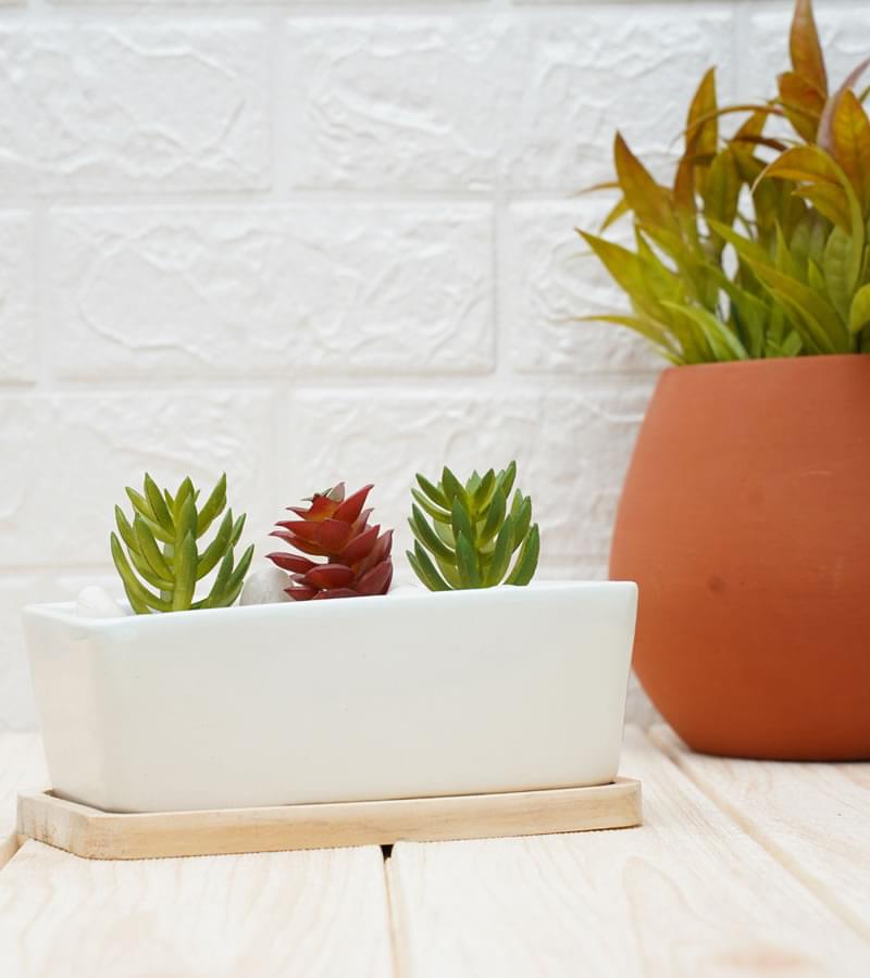 Buy Ceramic Pots for Plants Online Ceramic Indoor Planters Gold