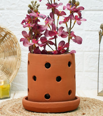 Orchid Planters- Terracotta 6 x 5.5 Inch