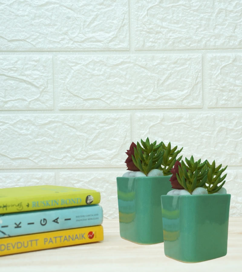 ceramic pots for plants