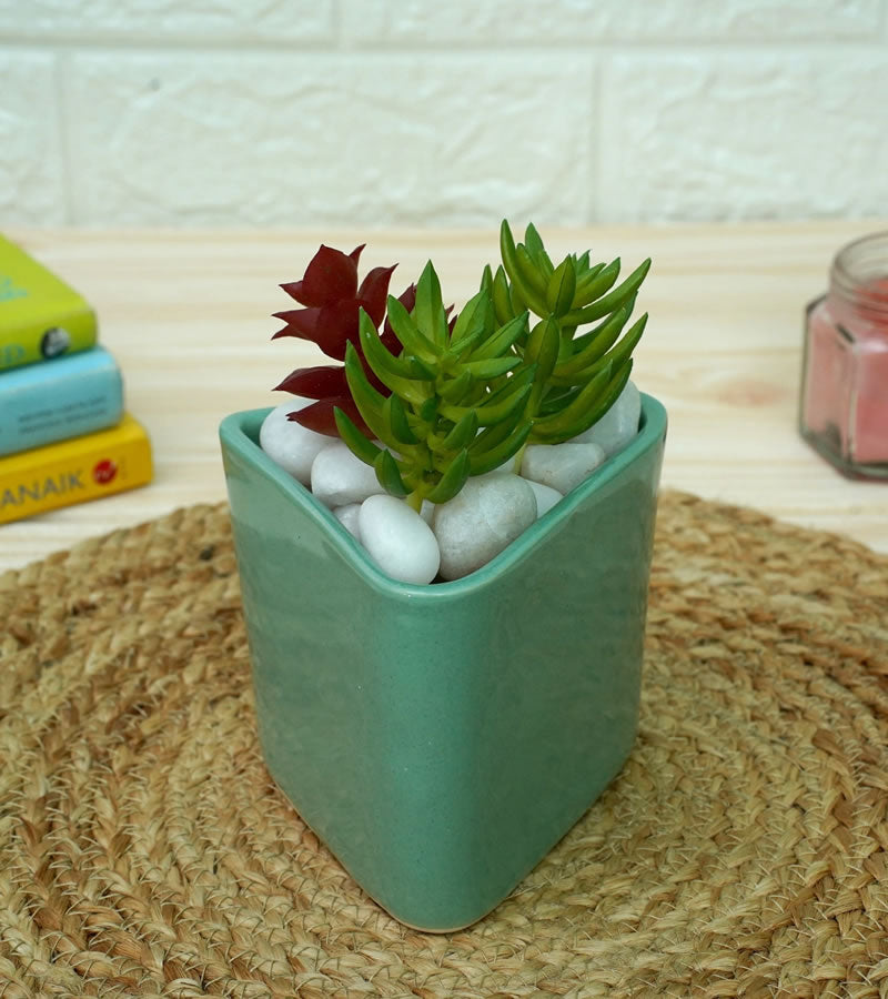 ceramic pots for plants