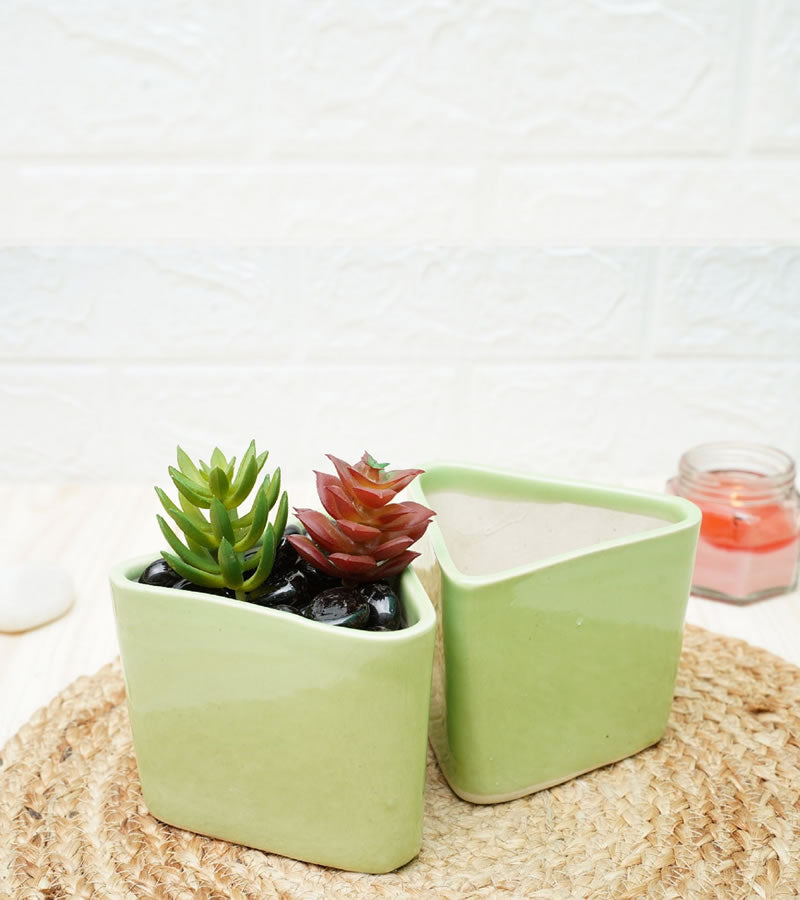 ceramic pots for plants