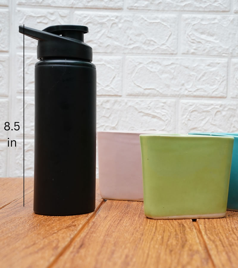 ceramic pots for plants