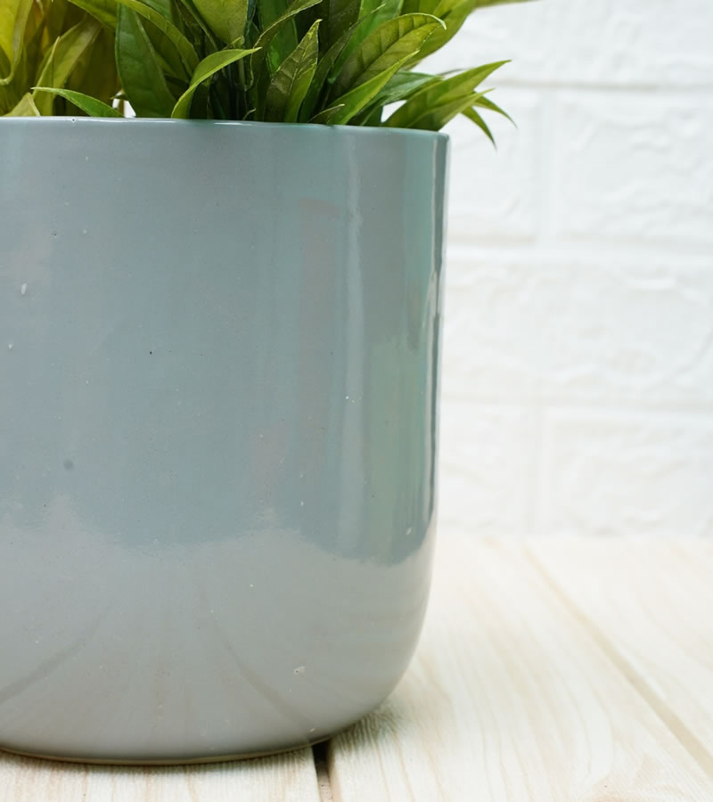 ceramic pots for plants