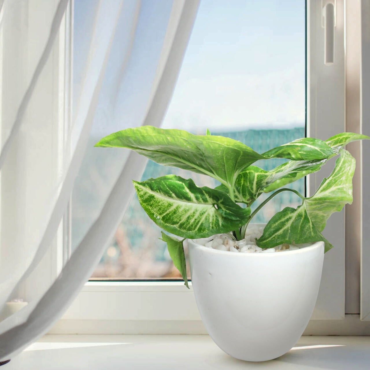 Fountain White Planter for Indoor Plants 2