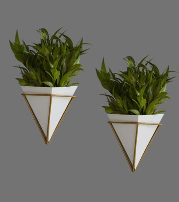Wall Planter - Pyramid (White, Pack of 2)
